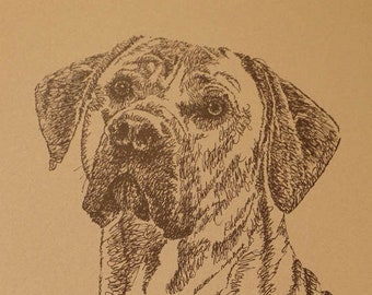 Rhodesian Ridgeback Dog art portrait drawing from words. FREE dog's name added into art. Great gift. Signed Kline 11X17 Lithograph 33/500.