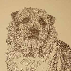 Norfolk Terrier dog art portrait drawing from words. Your dog&#39;s name added into art FREE. Great gift. Signed Kline 11X17 Lithograph 63/500.