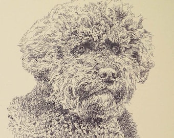 Portuguese Water Dog dog art portrait drawing from words. Your dog's name added into art FREE. Great gift. Signed Kline 11X17 Lithograph 35