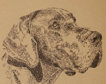 Great Dane - Artist Kline draws dog art using only words. Signed 11x17 Lithograph 84/500 - Artist Will Add Your Dogs Name Into Art Free