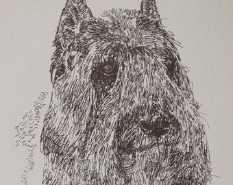 Personalized Bouvier des Flandres dog art drawing from words. Dog's name added into art FREE. Great gift. Signed Kline 11X17 Lithograph #16