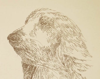 Afghan Hound - Dog art portrait from words. Your dog's name added free. Great gift. Signed Kline 11X17 Lithograph 24/500