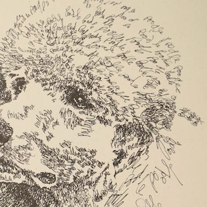 Standard Poodle dog art portrait drawing from words. Your dog&#39;s name added into art FREE. Great gift. Signed Kline 11X17 Lithograph 288/500.