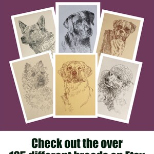 Norfolk Terrier dog art portrait drawing from words. Your dog's name added into art FREE. Great gift. Signed Kline 11X17 Lithograph 63/500. image 3