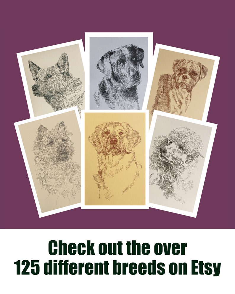 Norfolk Terrier dog art portrait drawing from words. Your dog's name added into art FREE. Great gift. Signed Kline 11X17 Lithograph 63/500. image 3