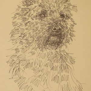 Norfolk Terrier dog art portrait drawing from words. Your dog's name added into art FREE. Great gift. Signed Kline 11X17 Lithograph 63/500. image 5