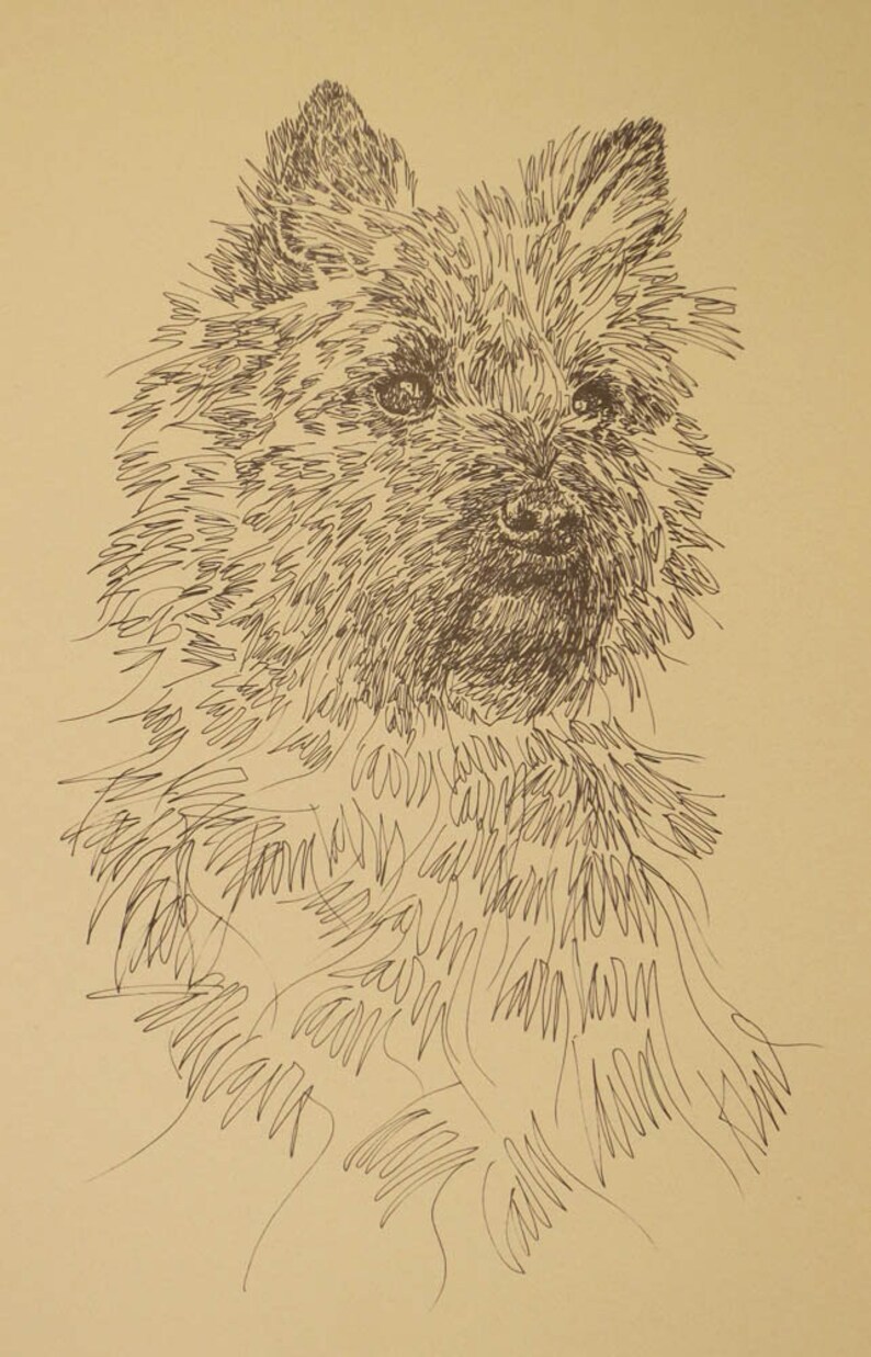 Norfolk Terrier dog art portrait drawing from words. Your dog's name added into art FREE. Great gift. Signed Kline 11X17 Lithograph 63/500. image 5