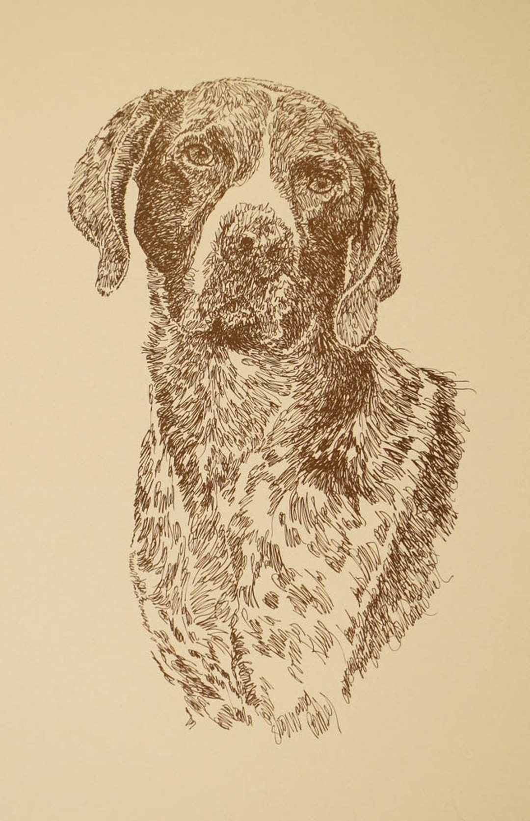 German Shorthaired Pointer Dog Art Portrait Drawing From Words. Dog's ...