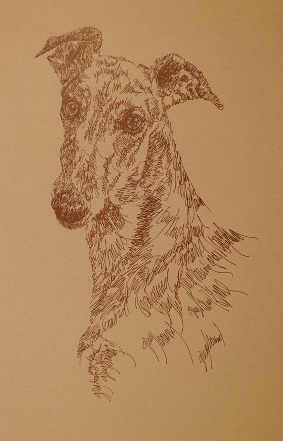Greyhound Dog Portret Sztuki Rysunek Z Słów Twój Pies Wymienić Dodatkowy W Sztuka Wolny Wielki Dar Podpisano Kline 11x17 Litografii 330500