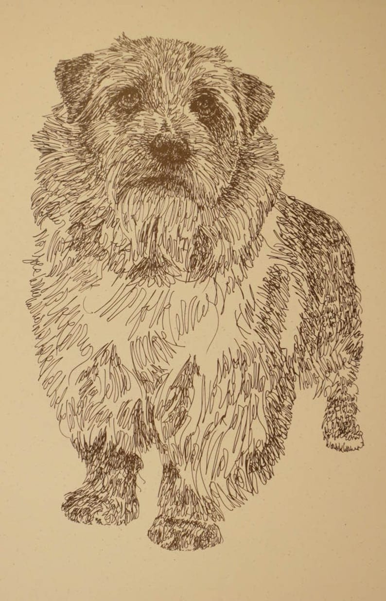 Norfolk Terrier dog art portrait drawing from words. Your dog's name added into art FREE. Great gift. Signed Kline 11X17 Lithograph 63/500. image 1