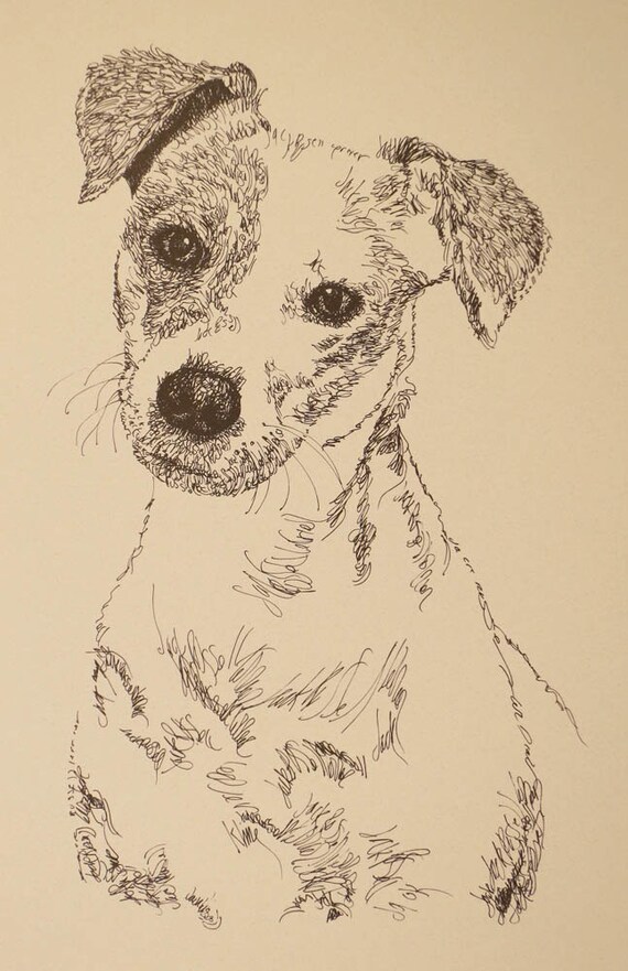 Jack Russell Terrier Smooth Dog Art Portrait Drawing From | Etsy
