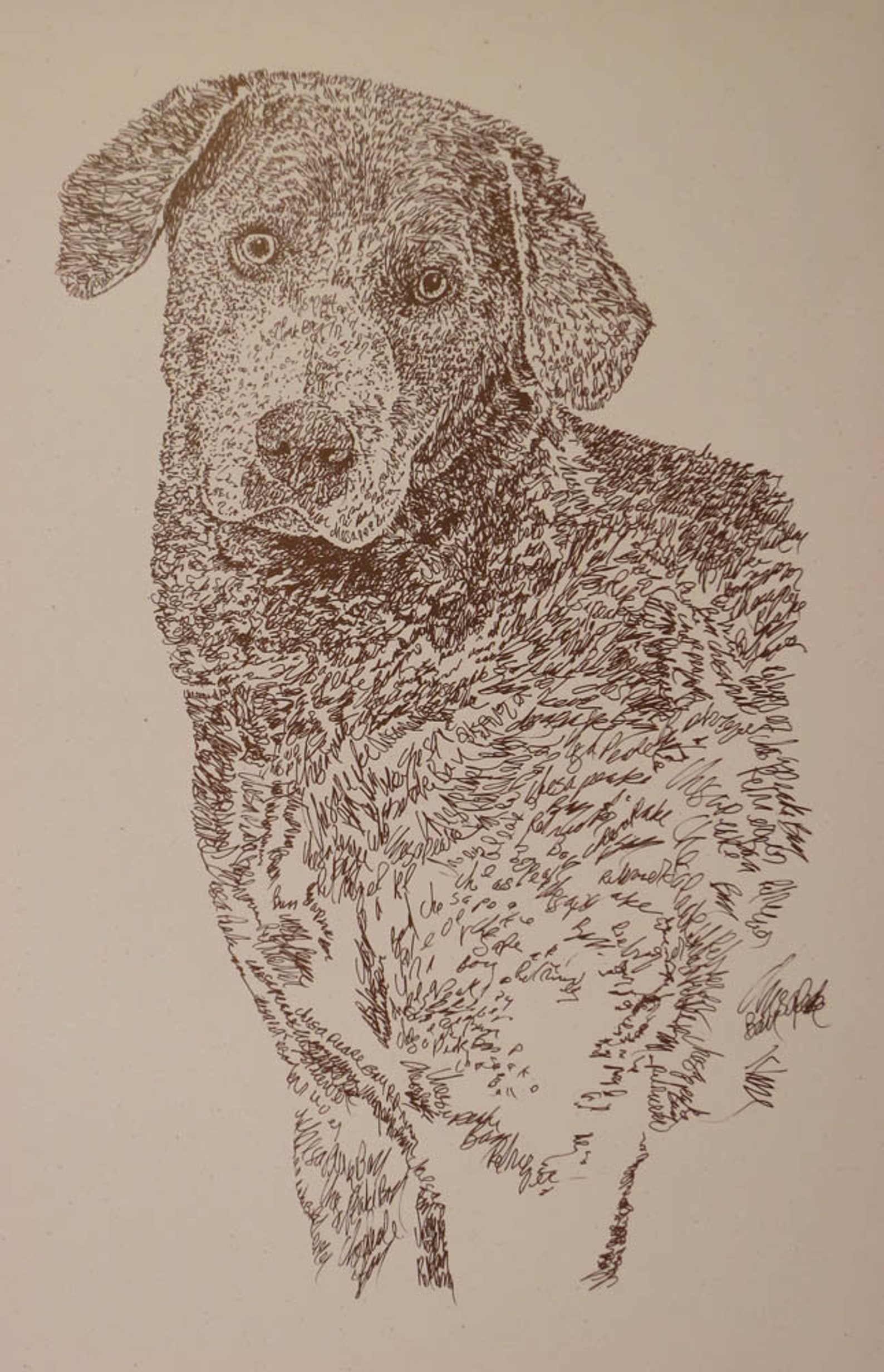 Standard Poodle Dog Art Portrait Drawing From Words. Your - Etsy