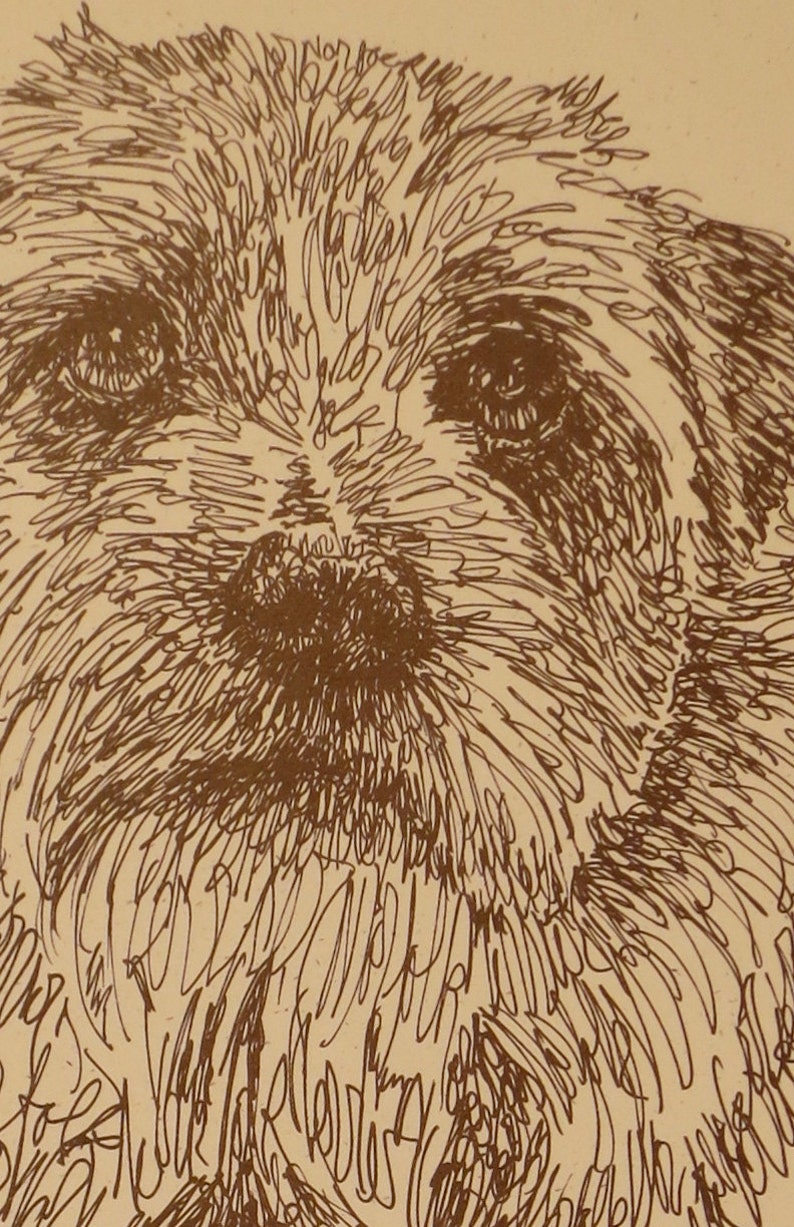 Norfolk Terrier dog art portrait drawing from words. Your dog's name added into art FREE. Great gift. Signed Kline 11X17 Lithograph 63/500. image 2