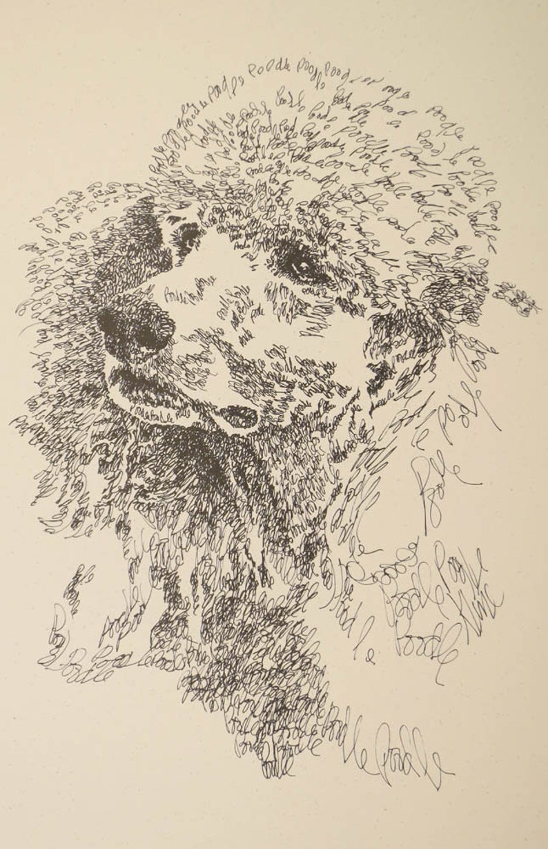 Norfolk Terrier dog art portrait drawing from words. Your dog's name added into art FREE. Great gift. Signed Kline 11X17 Lithograph 63/500. image 8