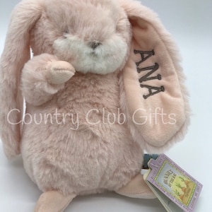 Personalized bunny Baby gift basket baby shower gift stuffed animal Easter Basket baby boy gift baby girl gift Tiny Nibble image 4