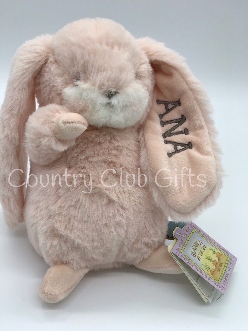 Personalized bunny Baby gift basket baby shower gift stuffed animal Easter Basket baby boy gift baby girl gift Tiny Nibble image 4