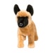 see more listings in the Dogs & Cats section