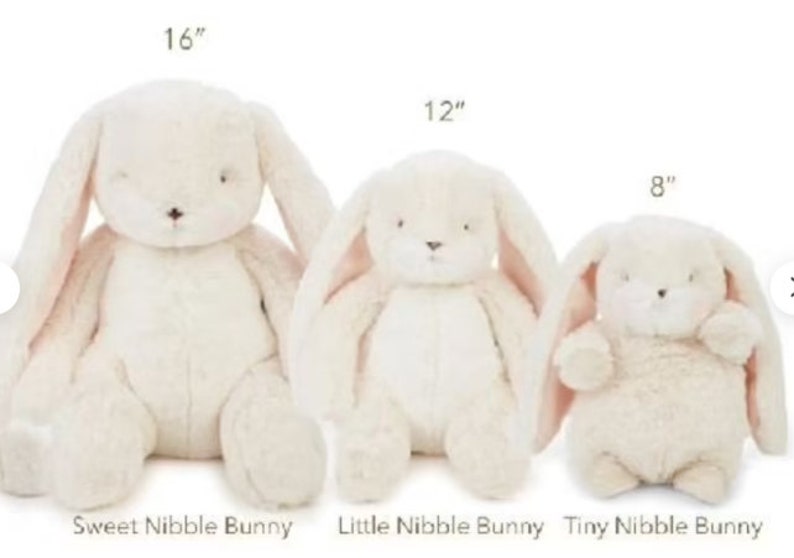 Personalized bunny Baby gift basket baby shower gift stuffed animal Easter Basket baby boy gift baby girl gift Tiny Nibble image 8