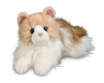 ragdoll cat teddy