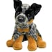 see more listings in the Dogs & Cats section