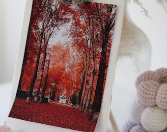 Herbst Planner Dashboard: Laminierte Herbstblätter, A5 Ringe