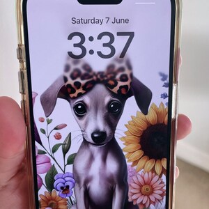 Whippet Wallpapers | Phone Backgrounds for iPhone & Android | Ready-to-Use PNGs | Digital Download Bundle