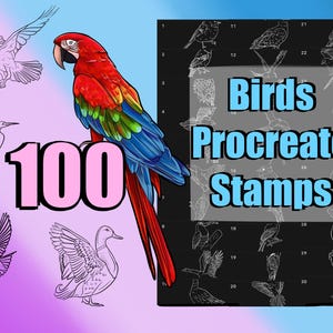 Könnte beinhalten: Digitale Kunstgrafik mit einem lebendigen Ara mit rotem, blauem und grünem Gefieder, der neben dem Text "100" in Rosa sitzt. Das Bild enthält auch Vogelskizzen und ein Panel mit dem Text "Birds Procreate Stamps".