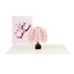 3D pop-up wenskaart kersenbloesemboom. Voor alle gelegenheden. Afmetingen: 15 x 20 cm (6 x 8 inch). Gepersonaliseerde berichten beschikbaar.
