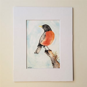 American Robin watercolor Fine Art Print 3 sizes available image 2