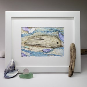 Maine Driftwood, Mussel Shells and Sea Glass watercolor original painting