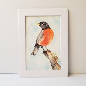 American Robin watercolor Fine Art Print 3 sizes available image 3