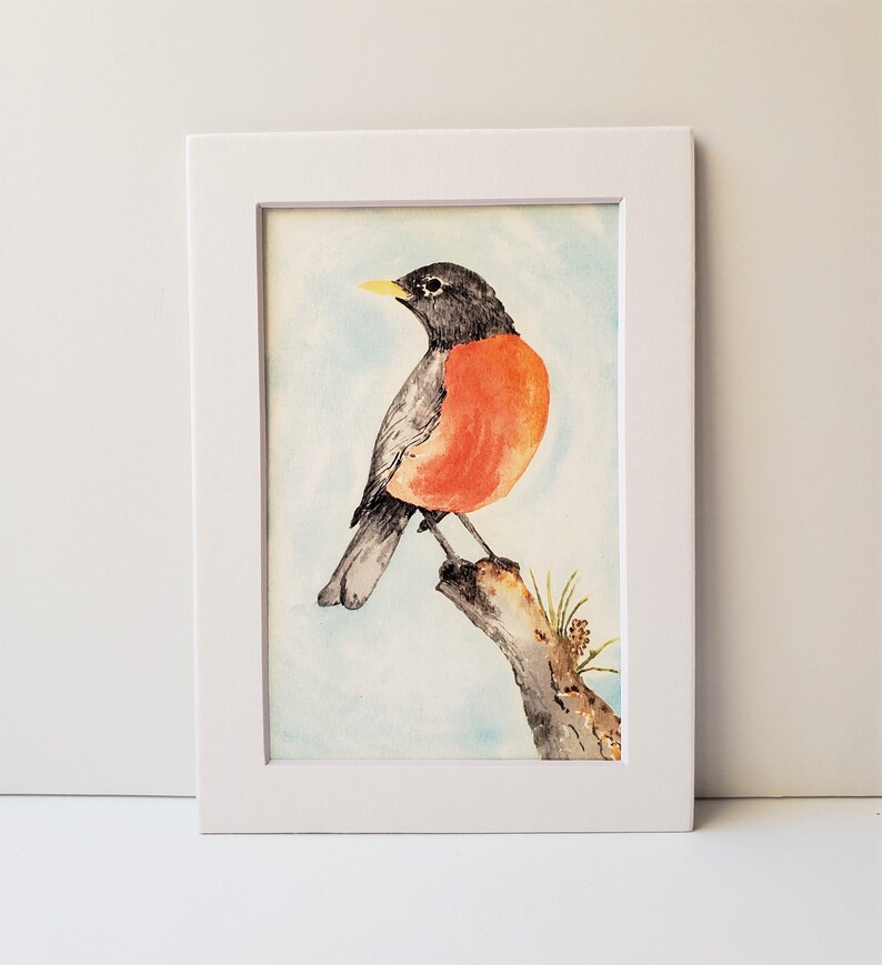 American Robin watercolor Fine Art Print 3 sizes available image 3