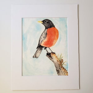 American Robin watercolor Fine Art Print 3 sizes available image 1