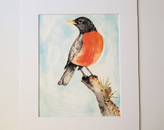 American Robin watercolor Fine Art Print (3 sizes available)