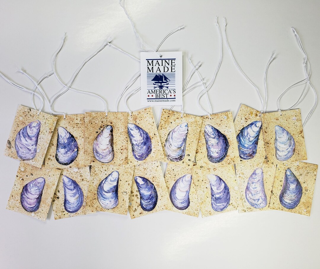 Mussel Shell Gift Tags Set of 16 Printed Gift Tags Etsy