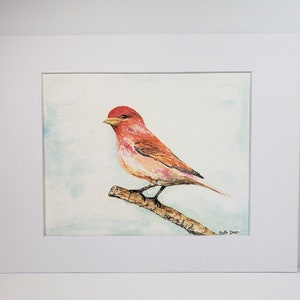 Purple Finch on Branch watercolor Fine Art Print 3 print sizes available image 3