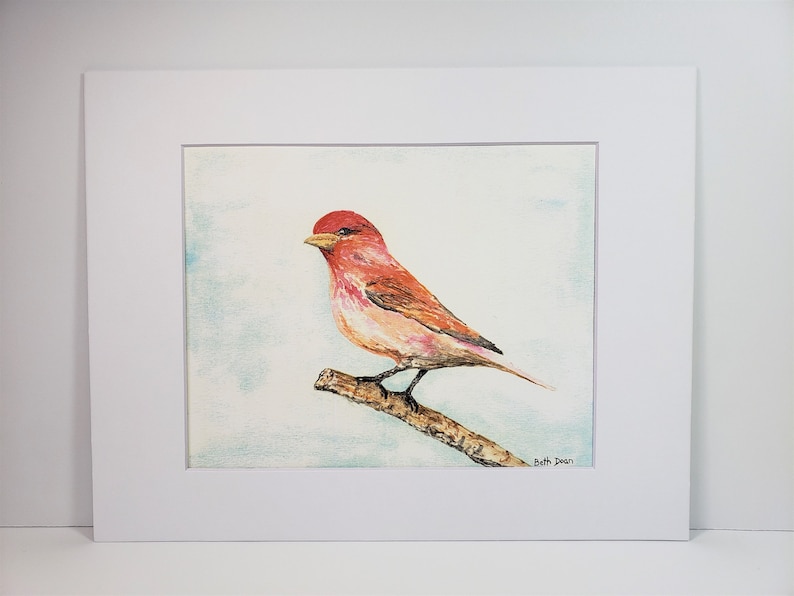Purple Finch on Branch watercolor Fine Art Print 3 print sizes available image 3