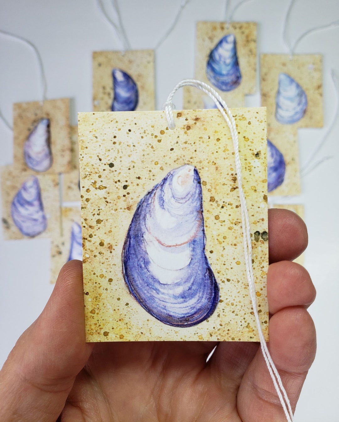Mussel Shell Gift Tags Set of 16 Printed Gift Tags Etsy