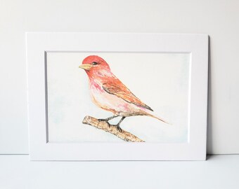 Purple Finch on Branch watercolor Fine Art Print (3 print sizes available)
