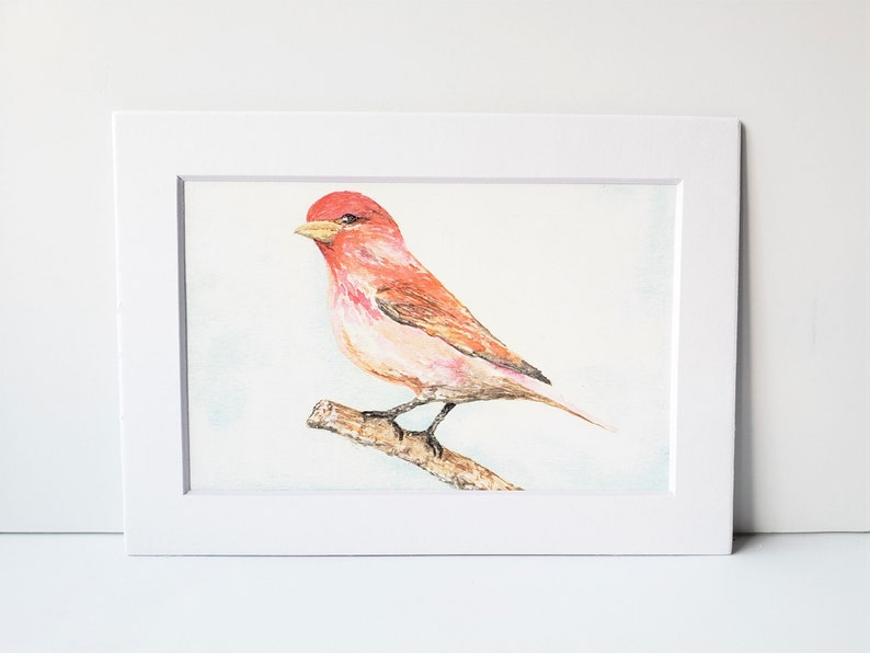 Purple Finch on Branch watercolor Fine Art Print 3 print sizes available image 1