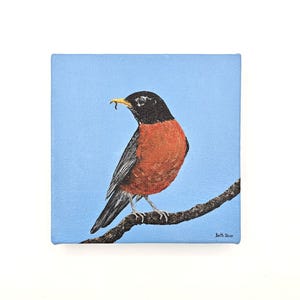 American Robin, acrylic on stretched canvas, 6x6 inches