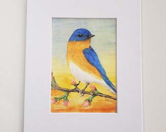 Bluebird watercolor Fine Art Print