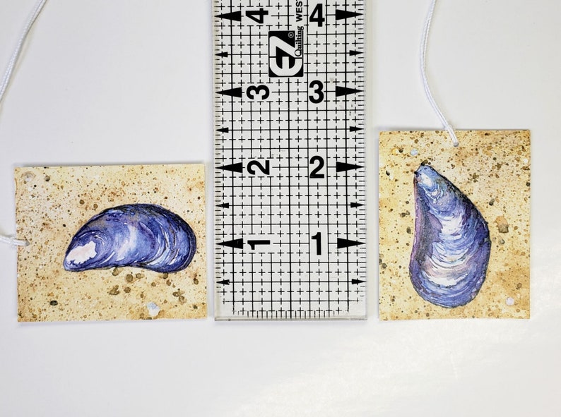 Mussel Shell Gift Tags Set of 16 Printed Gift Tags Etsy