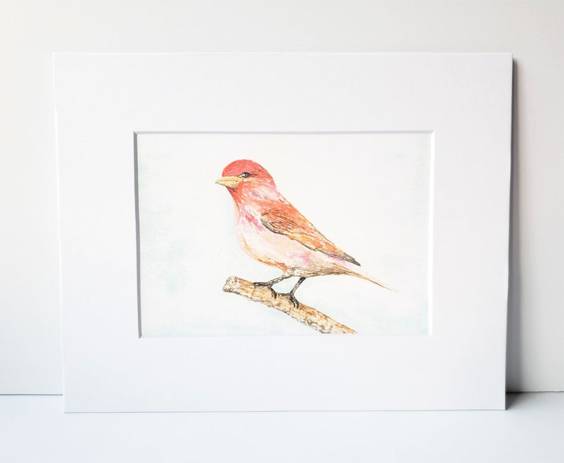 Purple Finch on Branch watercolor Fine Art Print 3 print sizes available image 2