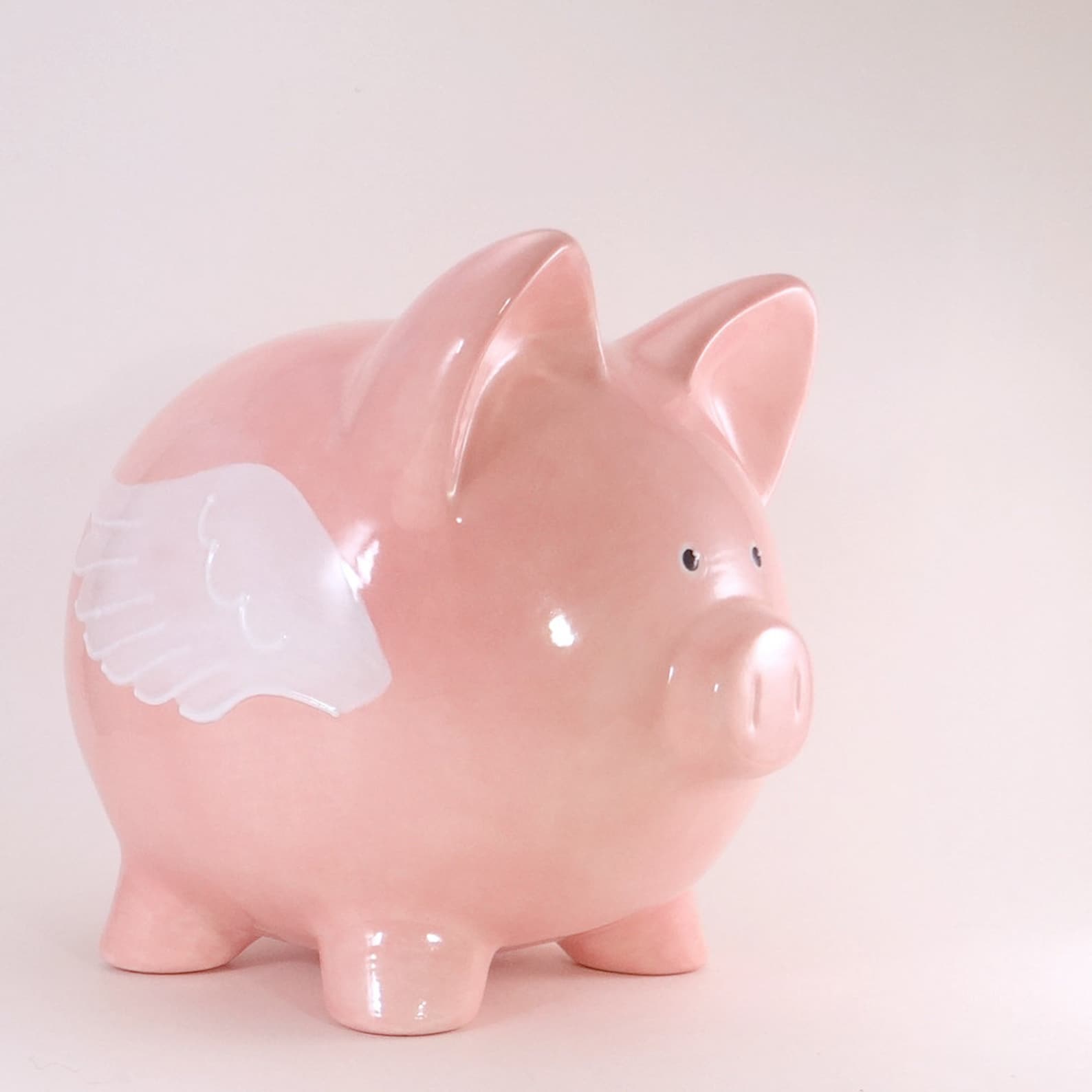 Flying Pig Piggy Bank Personalized Piggy Bank Winged Pig Etsy