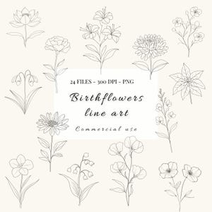 Geburtsmonat Blumen Clipart | Hand gezeichnete Blumen | Monatliche Geburtsblume png | Florale Illustrationen | Line Art Bundle | Schwarz weiss png