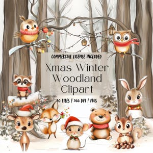Noël hiver Woodland Clipart | Animaux bohèmes des bois et bébés amis de la forêt | Bonnet de Noel animaux PNG | Ours renard chevreuil