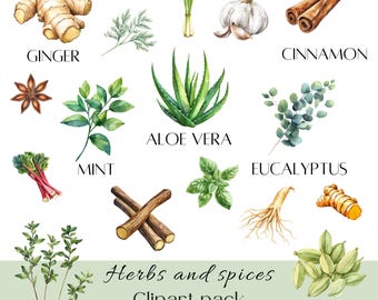 Medicinal Herbs and Spices Clipart | Herbal Remedies png | Medicinal Plants png | Kitchen Herbs png | Botanical and Greenery clipart