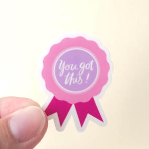 You Got This Lint Sticker | Waterdicht glanzend vinyl