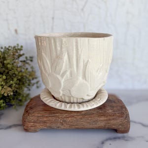 May include: Cream-colored ceramic planter with a matching saucer, featuring a raised floral design. The planter sits on a small, weathered wooden stand, creating a rustic aesthetic. Ideal for indoor plants.